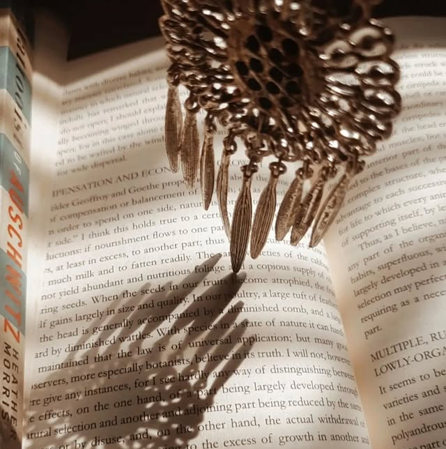 Pranjali Shome contemporary fiction novel reading